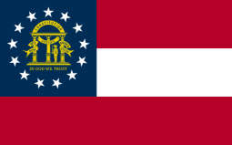 Georgia State Corp Filing