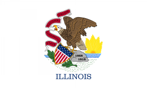 Illinois State Corp Filing
